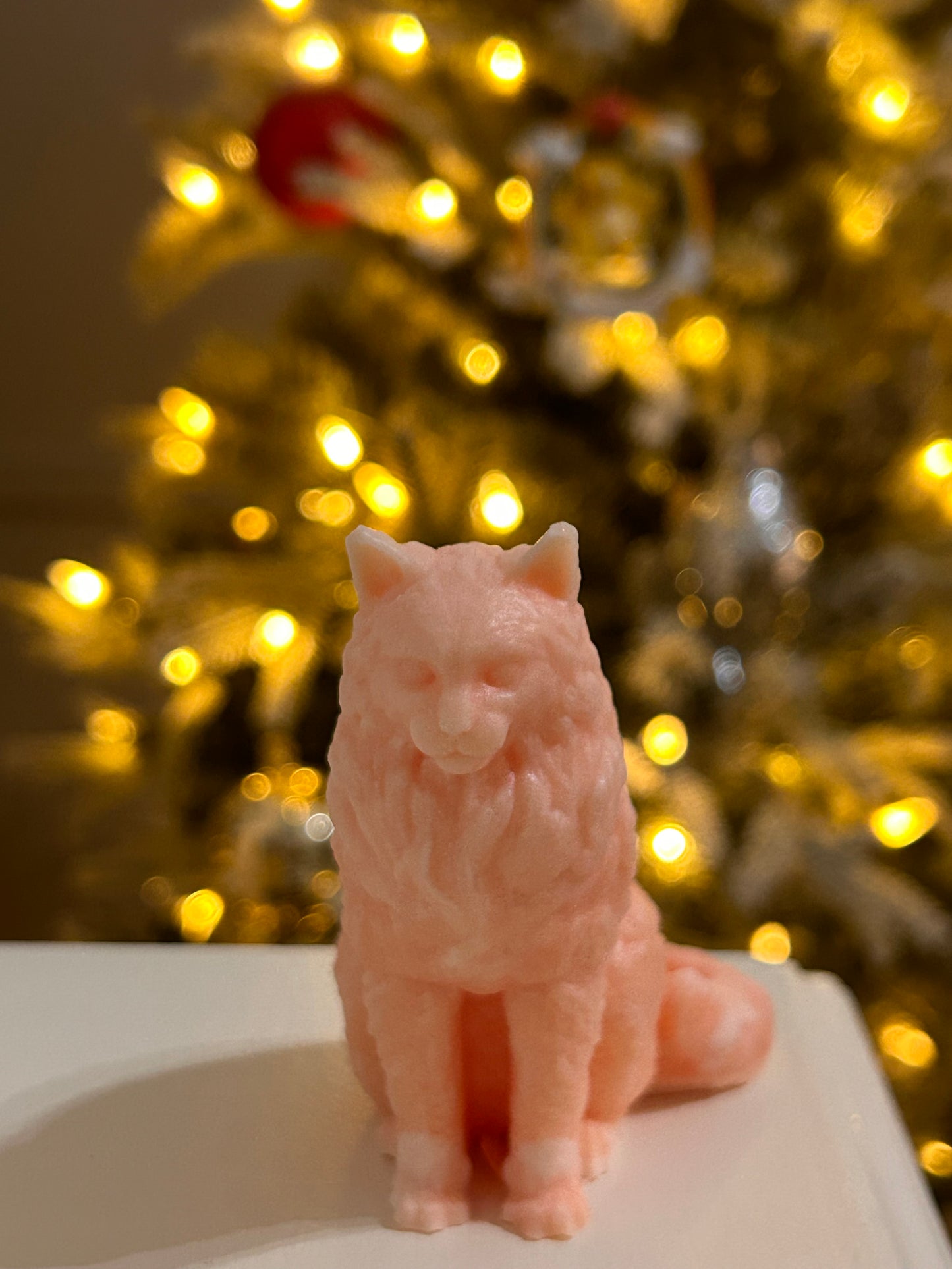 Cat Soap